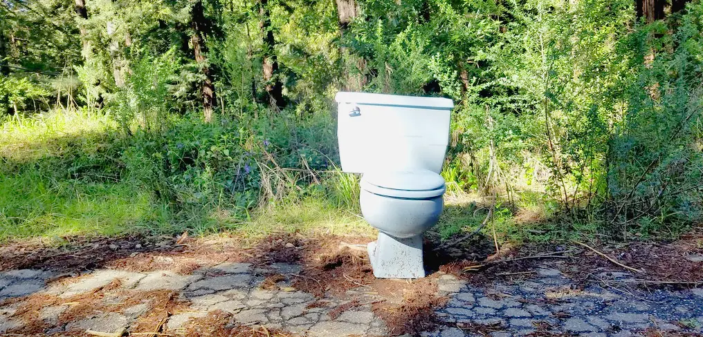 a toilet sit put in forest, maybe it's a old toilet sit