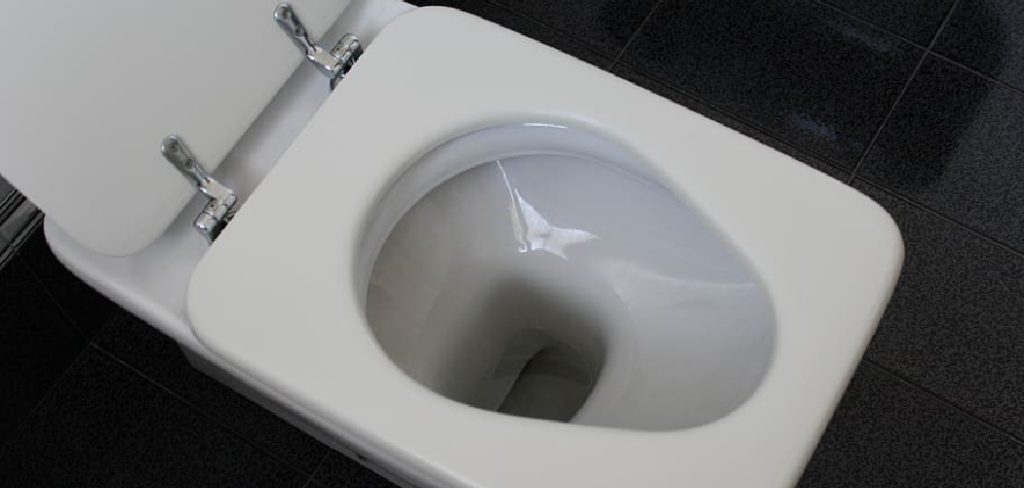 Water in the Toilet Bowl