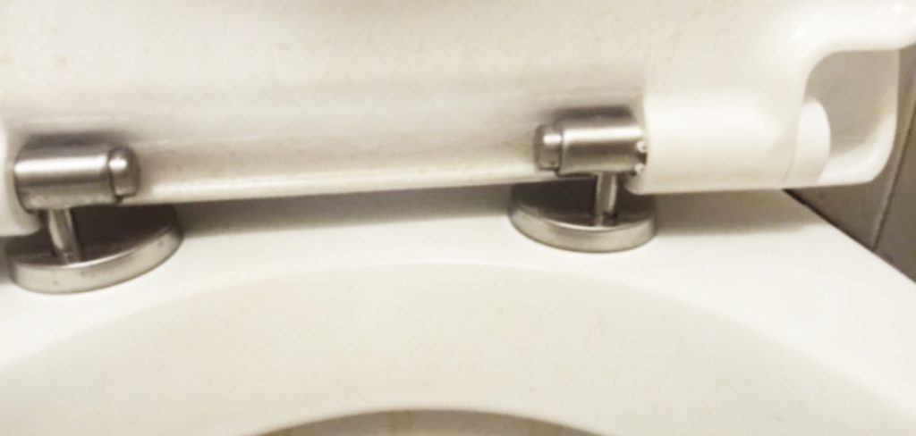 How To Remove Stuck Toilet Seat Screw