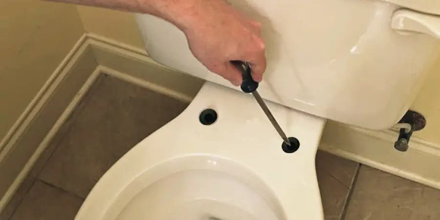 Try to remove screw from toilet seat