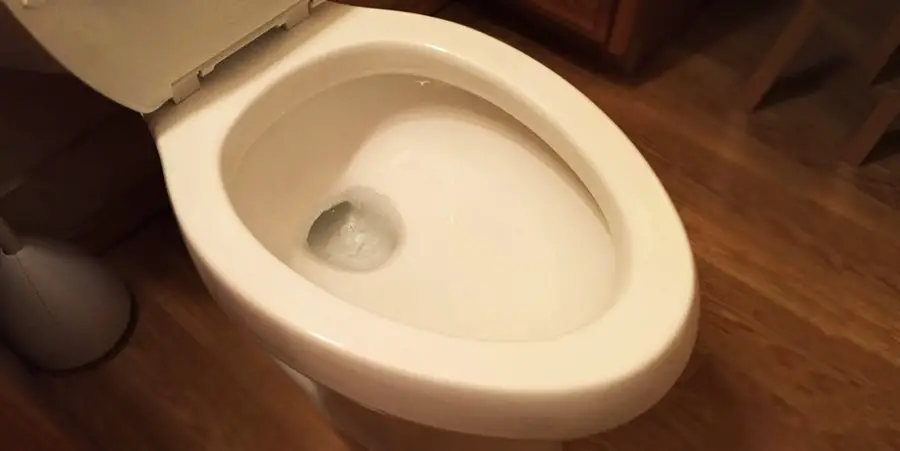 A white Toilet Bowl