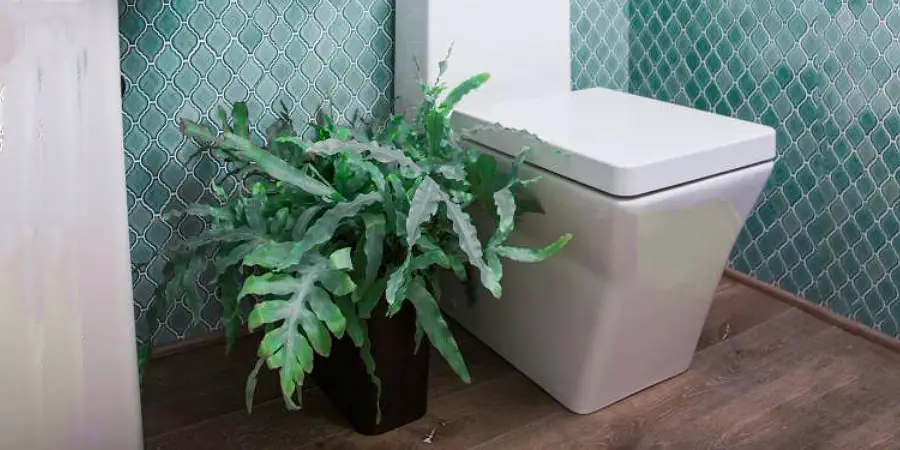Put Decorative Tree Pot for Cover Toilet Waste Pipe