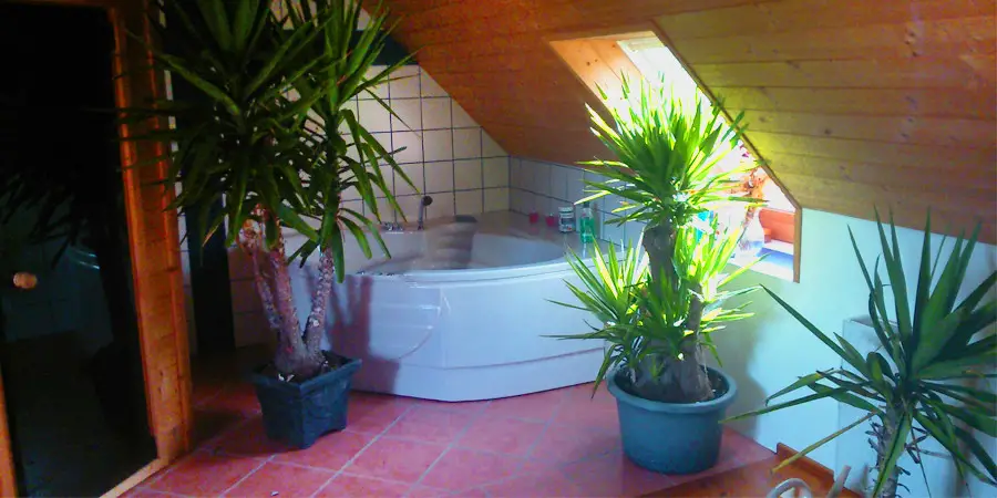 Mini Garden in bathroom