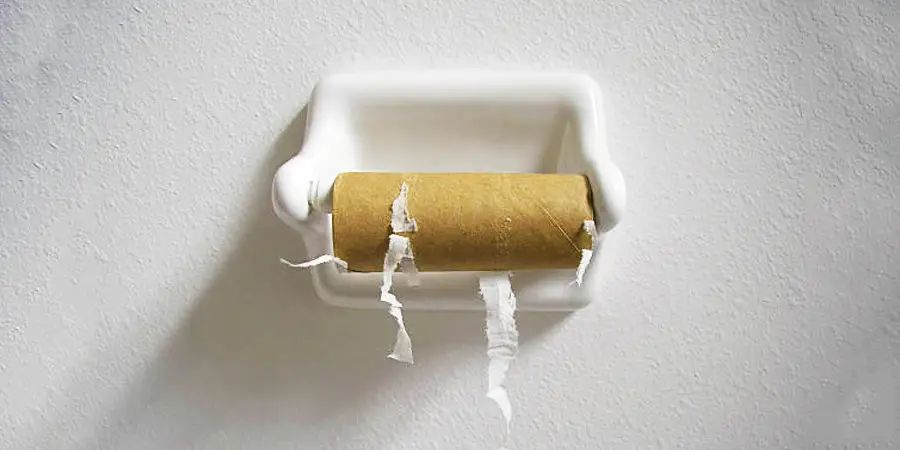 An empty of Toilet Paper roll